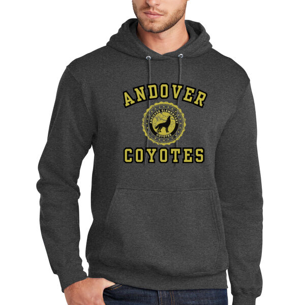 Port & Company® Core Fleece Pullover Hooded Sweatshirt - Printed Logo Thumbnail