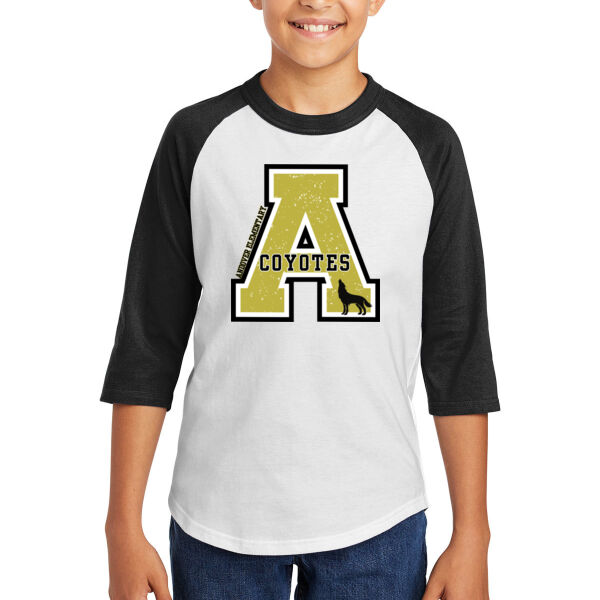 Sport-Tek® Youth Colorblock Raglan Jersey - Printed Logo Thumbnail
